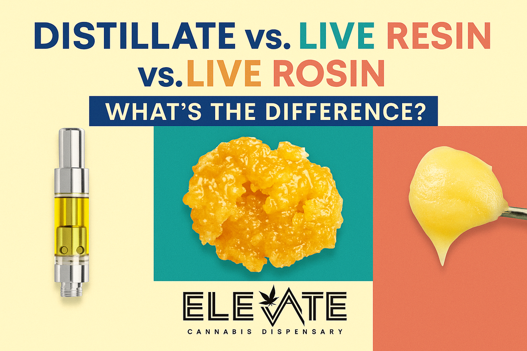 Distillate vs. Live Resin vs. Live Rosin: What’s the Difference?