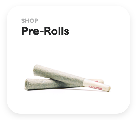 Pre Rolls